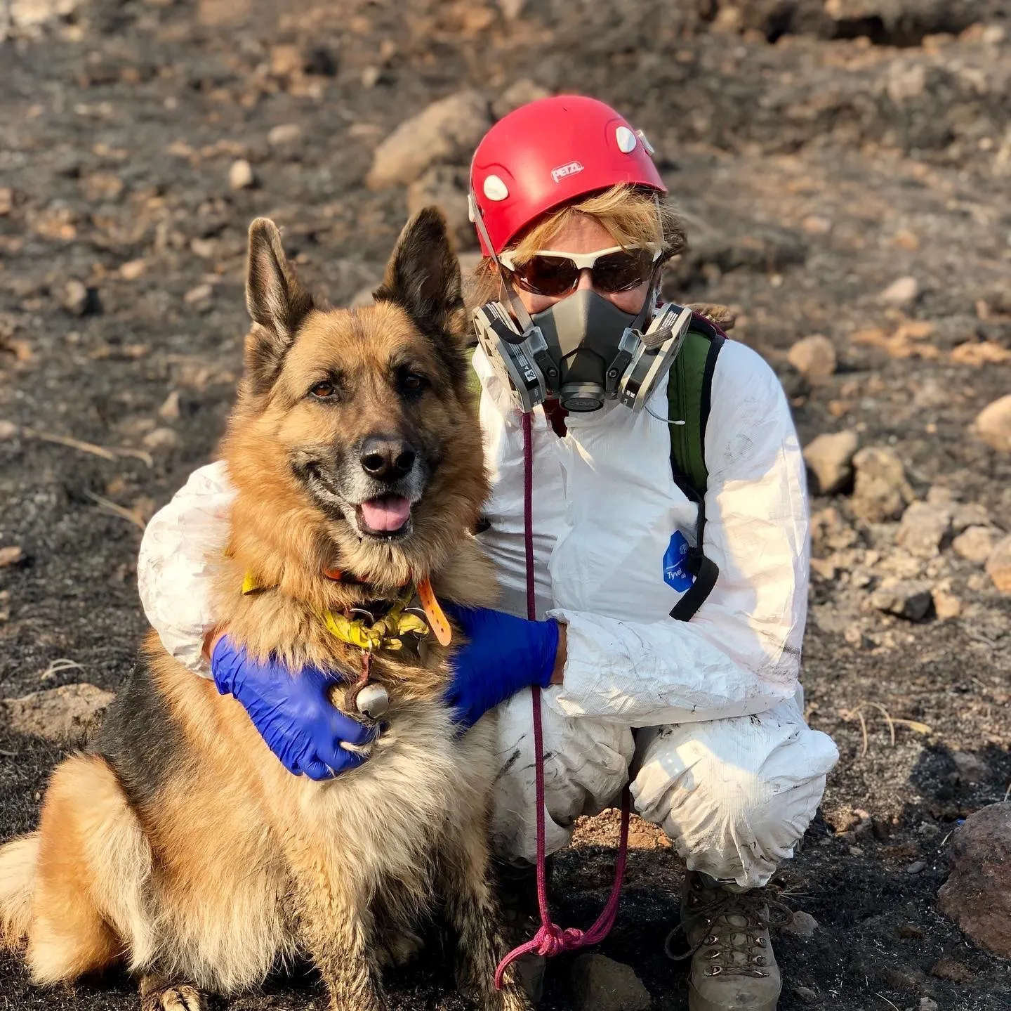 SAR dog and handler